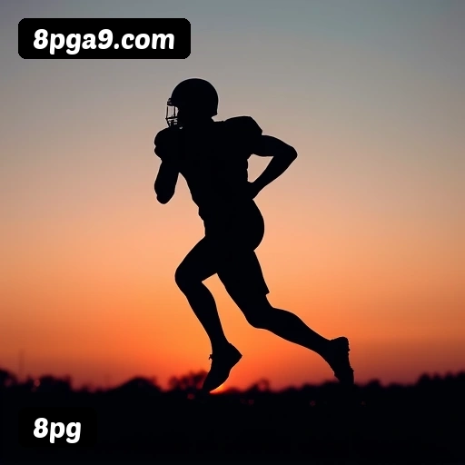 Níveis do programa VIP da 8pg